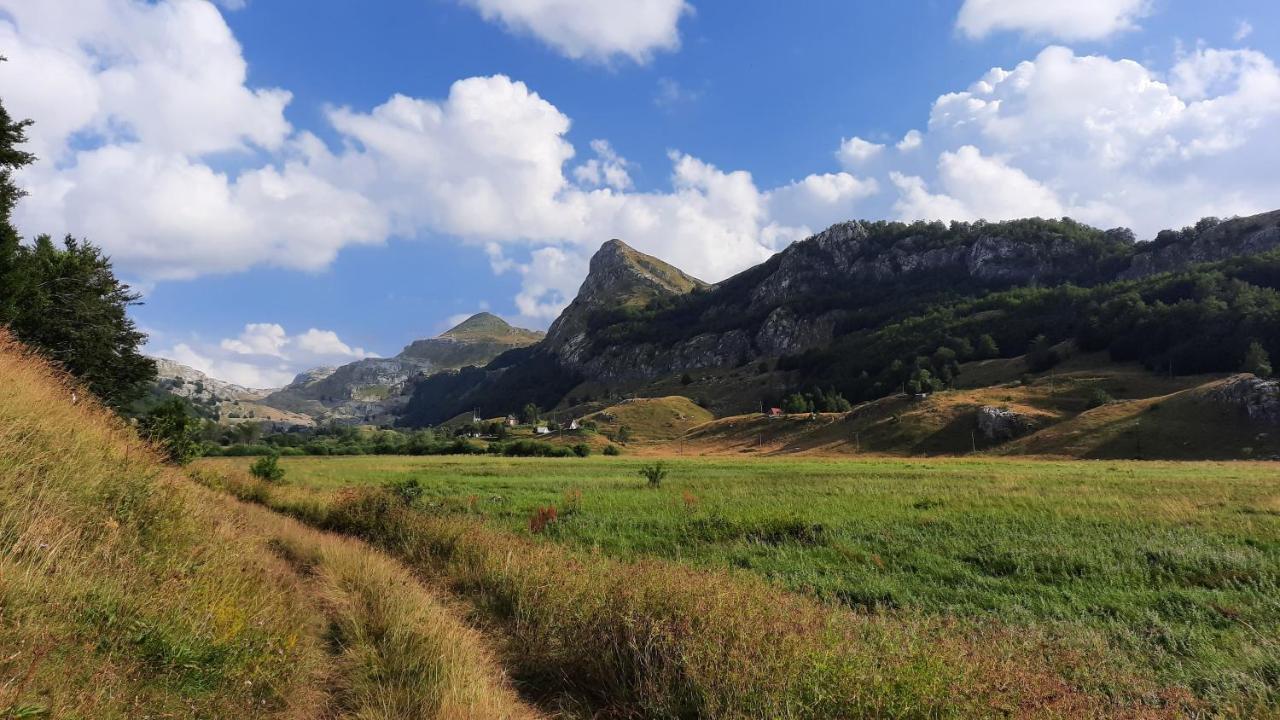 Katun Mokra & Horseback Riding Chalet