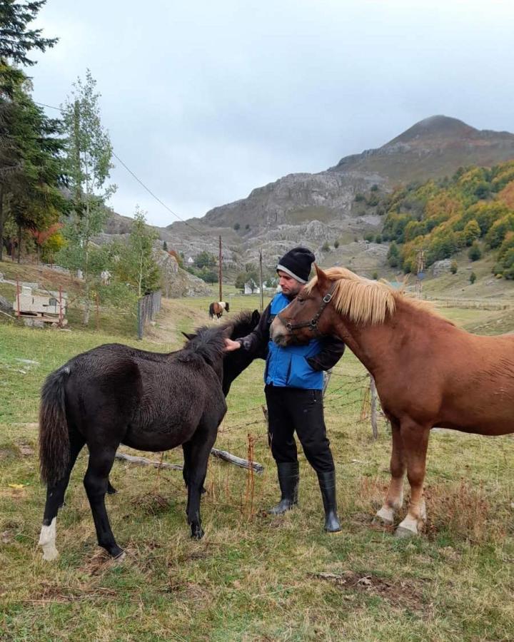 Katun Mokra & Horseback Riding *