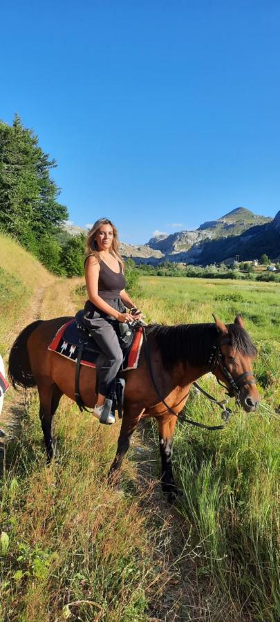 Katun Mokra & Horseback Riding Podgorica