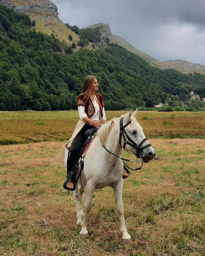 Chalet Katun Mokra & Horseback Riding *