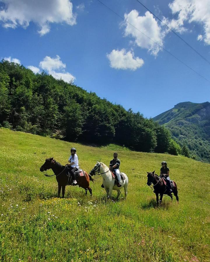 Katun Mokra & Horseback Riding
