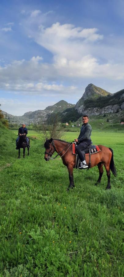 Katun Mokra & Horseback Riding Подгориця