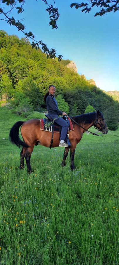 Katun Mokra & Horseback Riding * Podgorica