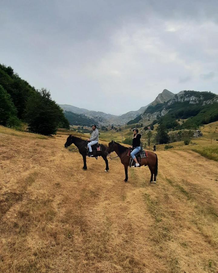 Katun Mokra & Horseback Riding Chalet Podgorica