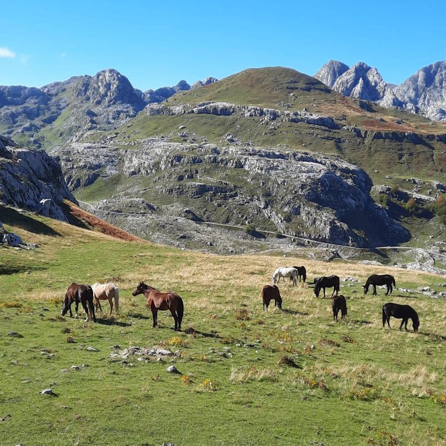 Katun Mokra & Horseback Riding Chalet *
