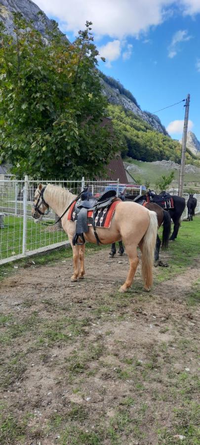 Katun Mokra & Horseback Riding Chalet *