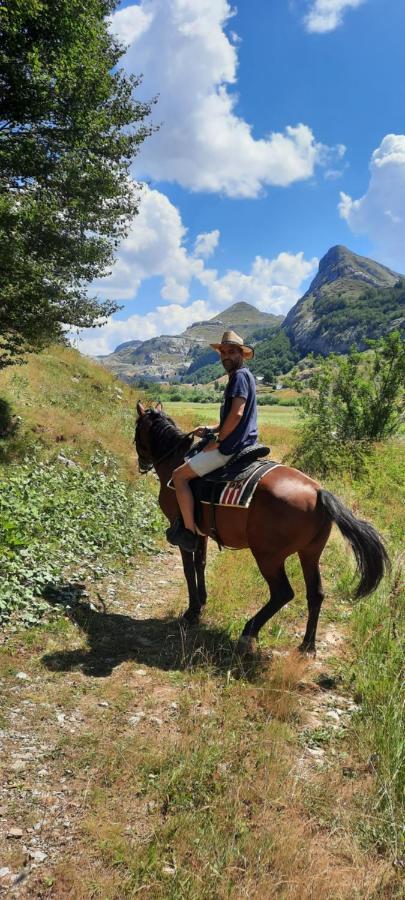 Katun Mokra & Horseback Riding Chalet