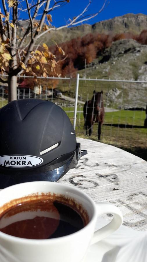 Katun Mokra & Horseback Riding Podgorica