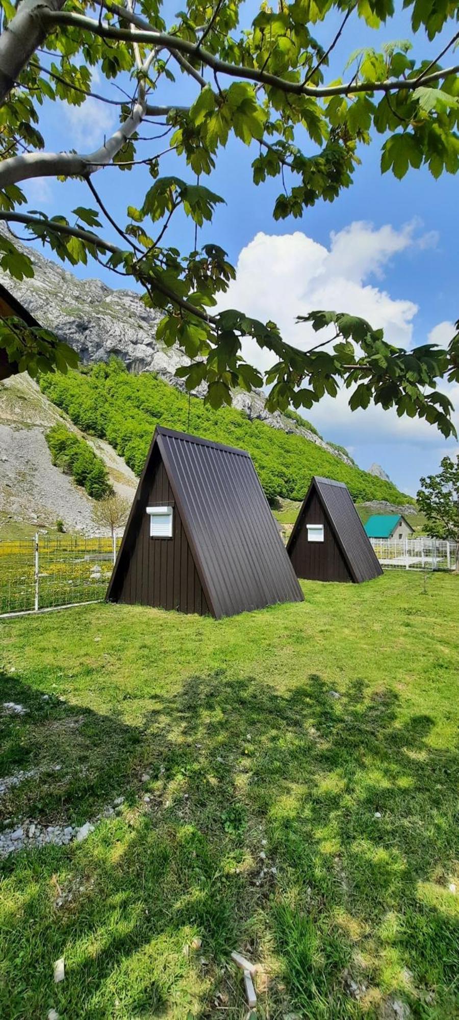Chalet Katun Mokra & Horseback Riding *