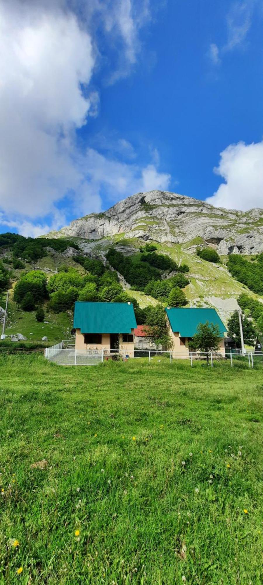 Katun Mokra & Horseback Riding Chalet Podgorica