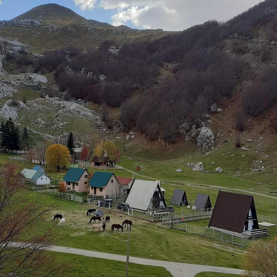 Katun Mokra & Horseback Riding * Podgorica