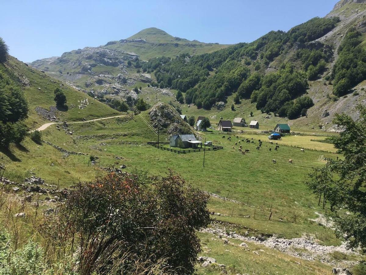 Шале Katun Mokra & Horseback Riding