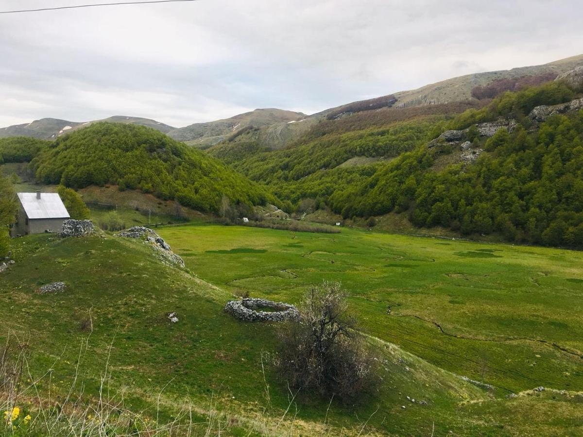 Katun Mokra & Horseback Riding Podgorica